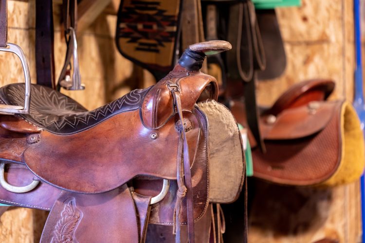 Western Saddle Western Saddle